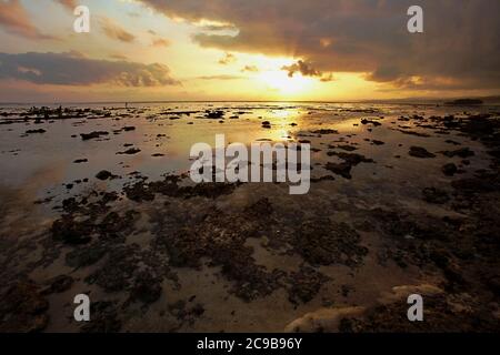 Spiaggia rocciosa durante la bassa marea a Marosi, Isola di Sumba, Indonesia. Foto Stock