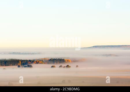 Mattina nebbia sulla pianura con una foresta con colori autunnali Foto Stock