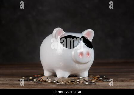 accumulo di denaro. airbag finanziario. banca piggy con monete Foto Stock