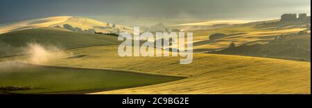 Panorama di bellissimi campi verdi in una bella mattina nebbiosa, paesaggio che ricorda la Toscana Foto Stock
