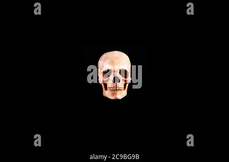 Vista frontale del laboratorio medico cranio umano isolato su osso nero e realistico del cranio, ideale per l'anatomia del college medico Foto Stock