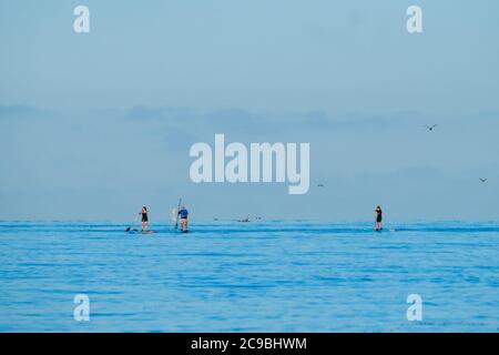 Worthing Beach, Worthing, Regno Unito. 30 luglio 2020. I paddleboarders godono del mare tranquillo del mattino. Con un cielo blu chiaro e acque piatte, le persone su tavole da paddle godersi la mattina presto al largo della costa del sussex. Rampion Wind Farm può essere visto 13-20km offshore. Foto per credito: Julie Edwards/Alamy Live News Foto Stock