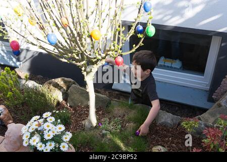 Little boy è alla ricerca di uova di Pasqua colorate nel parco. Pasqua cercare concetto di caccia Foto Stock