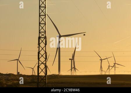 Silhouette di turbine eoliche in funzione, mentre i sistemi di irrigazione agricola operano automaticamente al tramonto, nella regione di Ribera alta del ebro, Foto Stock