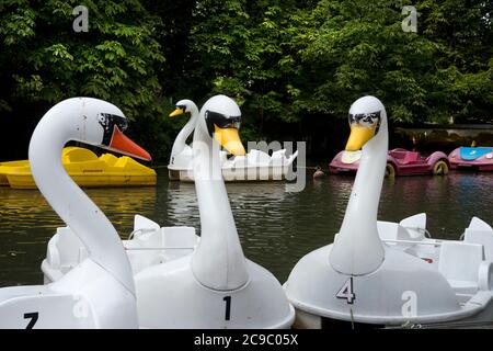 North London, Inghilterra; UK.Alexandra Palace, lago di nautica. Swan pedalos. Foto Stock