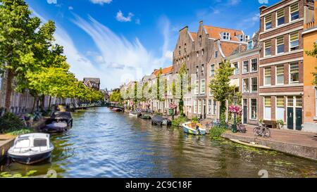 Leiden, Paesi Bassi - 22 luglio 2020: Vista sulla città Leiden Vecchio Reno con canale, case e ponte Saint Jan durante l'estate. Foto Stock