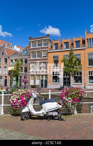 Leiden, Paesi Bassi - 22 luglio 2020: Scooter Whiet parcheggiato a Leiden lungo il Reno antico con canale, fiori e case sullo sfondo Foto Stock