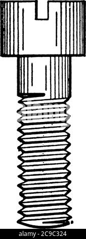 La vite a macchina è un perno in metallo corto, sottile e appuntito con testa piatta e filettatura elicoidale rialzata che scorre attorno ad esso, disegno di linea vintage o incisione Illustrazione Vettoriale