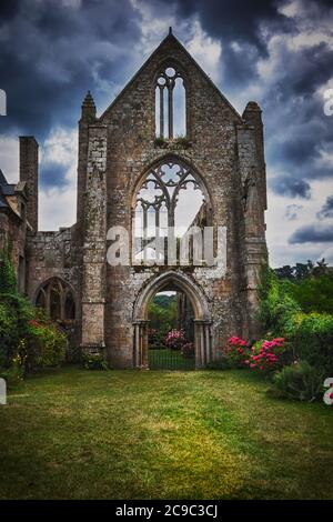 Abbaye de Beauport, Bretagna, Francia. Costruita agli inizi del XIII secolo, l'abbazia marittima gotica di Beauport si trova nella Côtes-d'Armor. Foto Stock