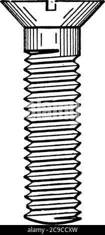 La vite a macchina è un perno in metallo corto, sottile e appuntito con testa piatta e filettatura elicoidale rialzata che scorre attorno ad esso, disegno di linea vintage o incisione Illustrazione Vettoriale