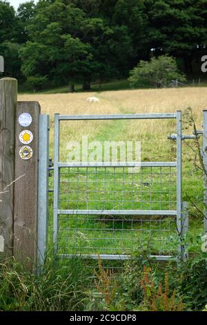 Metal Gate sulla Shropshire Way a lunga distanza sentiero, Shropshire Hills AONB, vicino Craven Arms, Shropshire, Inghilterra, Regno Unito nel mese di luglio Foto Stock