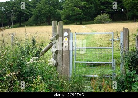 Metal Gate sulla Shropshire Way a lunga distanza sentiero, Shropshire Hills AONB, vicino Craven Arms, Shropshire, Inghilterra, Regno Unito nel mese di luglio Foto Stock