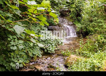 St Nectans Glen - acqua che scorre su pietre in Cornovaglia Foto Stock