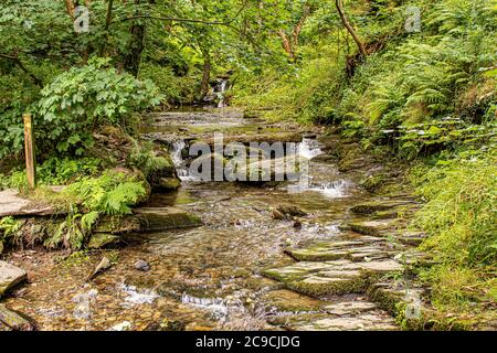 St Nectans Glen - acqua che scorre su pietre in Cornovaglia Foto Stock