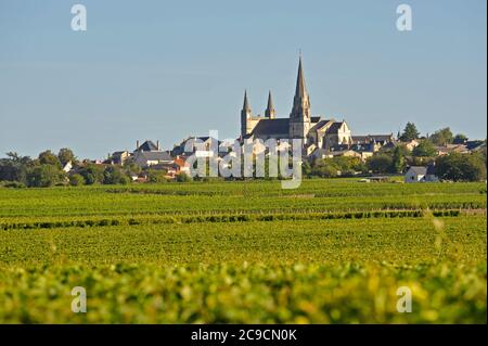 La città di le Puy-Notre-Dame Main-et Loire Francia Foto Stock