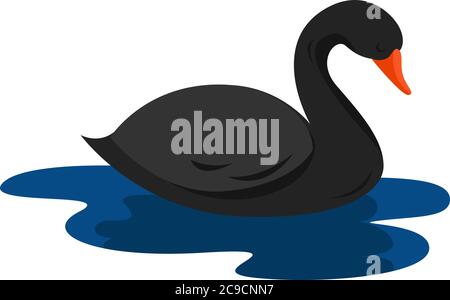 Cigno nero, illustrazione, vettore su sfondo bianco Illustrazione Vettoriale
