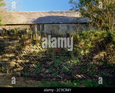 Facciata esterna di herringbone modello tradizionale Cornovaglia che circonda la chiesa di St Piran, Trethevey, Tintagel, Cornovaglia. Foto Stock