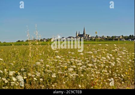 Le Puy-Notre-Dame Città nel Maine-et-Loire Francia Foto Stock
