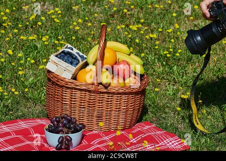 Berlino, Germania - 30 luglio 2020: Cesto di frutti vari alla luce del sole su un prato con fiori gialli che viene fotografato. Foto Stock