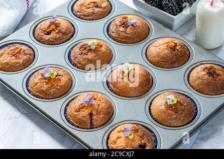 fritte di mora e mandorle appena sfornate - torte piccole, popolari in Australia e Nuova Zelanda Foto Stock