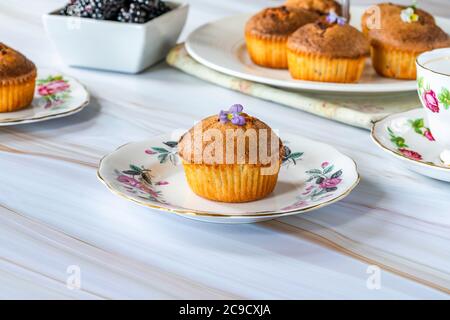 fritte di mora e mandorle appena sfornate - torte piccole, popolari in Australia e Nuova Zelanda Foto Stock