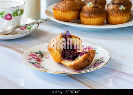 fritte di mora e mandorle appena sfornate - torte piccole, popolari in Australia e Nuova Zelanda Foto Stock