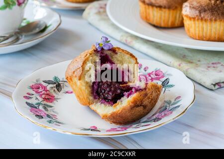 fritte di mora e mandorle appena sfornate - torte piccole, popolari in Australia e Nuova Zelanda Foto Stock