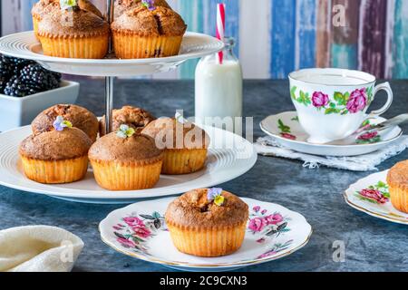 fritte di mora e mandorle appena sfornate - torte piccole, popolari in Australia e Nuova Zelanda Foto Stock