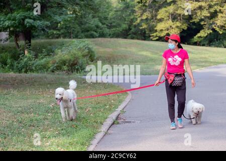 Una giovane donna asiatica americana che indossa una maschera, cammina i suoi 2 cani su un percorso in Kissena Park, Flushing, Queens, New York City. Foto Stock
