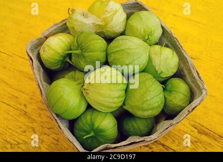 Contenitori di tomatillo verde (pomodoro di buccia messicano) Foto Stock