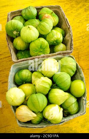 Contenitori di tomatillo verde (pomodoro di buccia messicano) Foto Stock