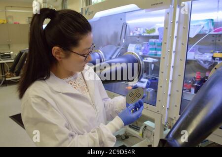 (200730) -- CANBERRA, 30 luglio 2020 (Xinhua) -- il co-autore Shen Heping, che sviluppa cellule perovskite, mostra una parte della cella nel laboratorio della Australian National University (ANU) a Canberra, Australia, 15 luglio 2020. I ricercatori dell'ANU hanno recentemente affermato di aver raggiunto un "nuovo record di efficienza" per le celle a idrogeno che possono convertire l'acqua in idrogeno semplicemente utilizzando la luce solare. A QUESTO PROPOSITO: 'I ricercatori australiani dicono che l'efficienza solare-idrogeno è migliorata a nuovo record' (per gentile concessione di Shen Heping/Handout via Xinhua) Foto Stock