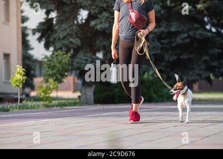 Un cane volpe terrier cammina con una donna in background urbano. Avere animali domestici in città, acessories per i cuccioli, stile di vita con i cani Foto Stock