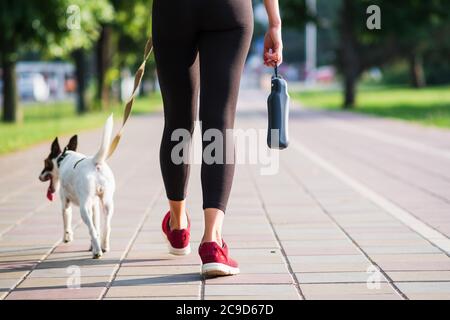 Liscio volpe terrier cane cammina accanto a una donna in vestito da jogging. Stile di vita attivo con animali domestici in città, accessori per animali domestici, corsa con cani Foto Stock