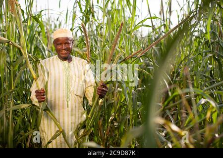 Un coltivatore di miglio si trova nei suoi campi nella sua fattoria nella regione di Tahoua, Niger, Africa occidentale. Foto Stock