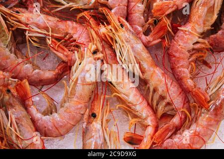 Primo piano dei gamberetti sul mercato del pesce nel centro di Atene in Grecia, luglio 27 2020. Foto Stock