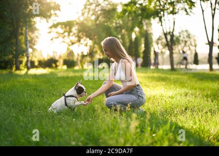 Vista laterale di un animale domestico elegante purebred che dà zampa al proprietario di cane femmina, bellissimo tramonto estivo sullo sfondo. Giovane donna sorridente allenando il bulldog francese nel parco cittadino, regalando delizie. Concetto di addestramento degli animali. Foto Stock