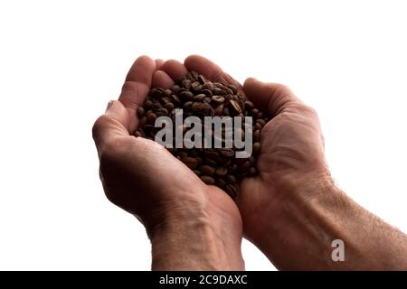 Mano dell'uomo una manciata di chicchi di caffè - silhouette, isolare Foto Stock