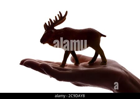 Mani della donna con una rara figura animale in pericolo - silhouette scura isolata, concetto di protezione degli animali dall'estinzione Foto Stock