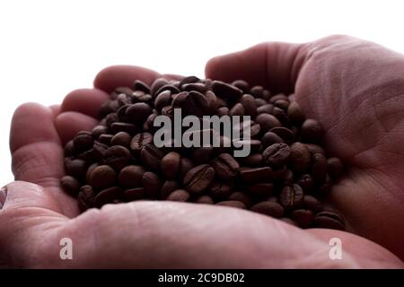 Mano dell'uomo una manciata di chicchi di caffè - silhouette, isolare Foto Stock