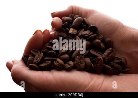 Mano della donna una manciata di chicchi di caffè - silhouette, isolare Foto Stock