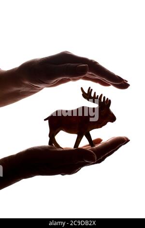 Mani della donna con una rara figura animale in pericolo - silhouette scura isolata, concetto di protezione degli animali dall'estinzione Foto Stock