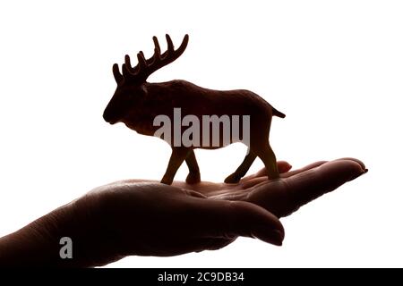 Mani della donna con una rara figura animale in pericolo - silhouette scura isolata, concetto di protezione degli animali dall'estinzione Foto Stock