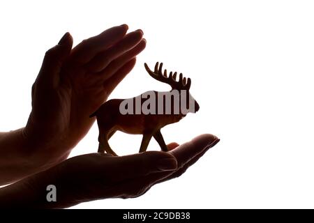 Mani della donna con una rara figura animale in pericolo - silhouette scura isolata, concetto di protezione degli animali dall'estinzione Foto Stock