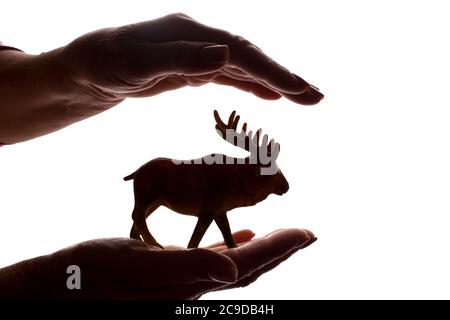 Mani della donna con una rara figura animale in pericolo - silhouette scura isolata, concetto di protezione degli animali dall'estinzione Foto Stock