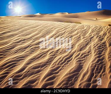 USA - COLORADO: Monumento nazionale delle Great Sand Dunes Foto Stock