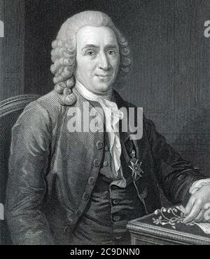 CARL LINNAEUS (1707-1778) botanico, zoologo e medico svedese Foto Stock