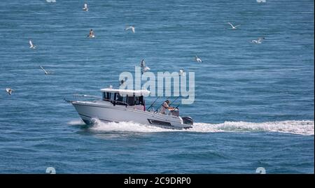 Charter per la pesca d'altura in mare con canne da pesca e gabbiani che seguono la sua scia - al largo di Portland, Dorset, Regno Unito, il 22 luglio 2020 Foto Stock