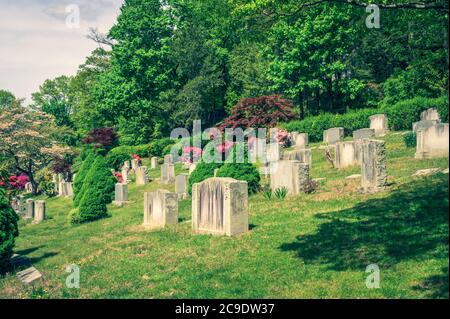 Lapidi al Sleepy Hollow Cemetery in una bella giornata di sole, nell'Upstate NY Foto Stock