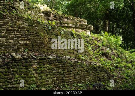 Tempio XX nelle rovine della città maya di Palenque, Palenque National Park, Chiapas, Messico. Patrimonio dell'umanità dell'UNESCO. Foto Stock